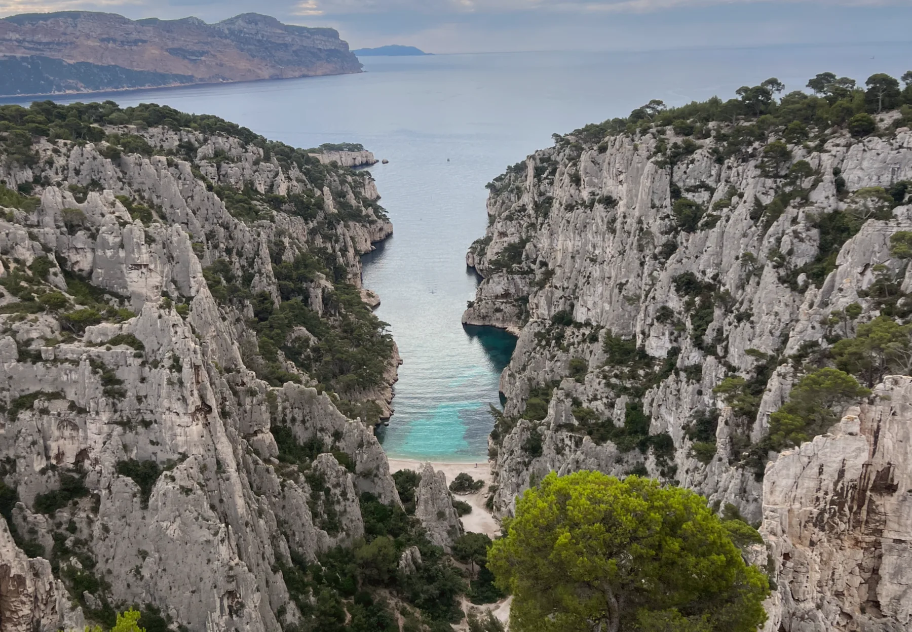 Calanque d'En-Vau, vue depuis le sentier